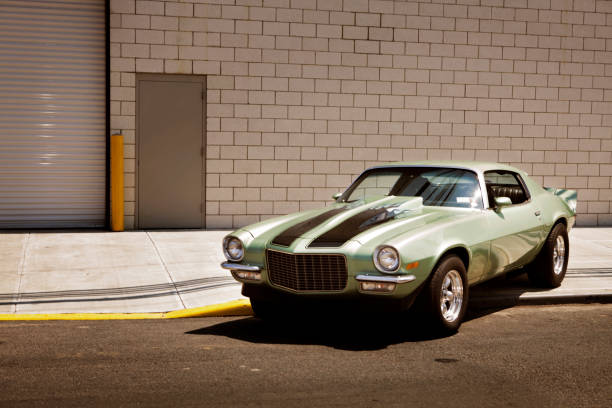 CARRO TESTE 25